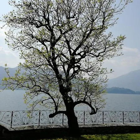 L'antico Borgo, Un Mix Di Storia E Romanticismo Сasa de vacaciones Lierna